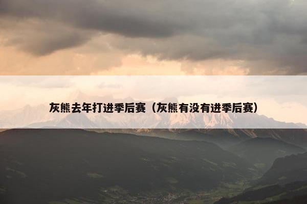 灰熊去年打进季后赛（灰熊有没有进季后赛）