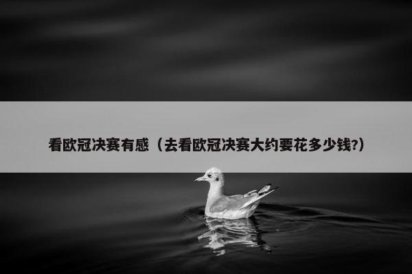 看欧冠决赛有感（去看欧冠决赛大约要花多少钱?）