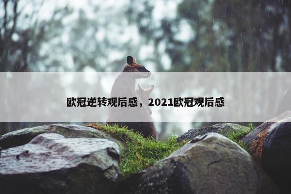 欧冠逆转观后感，2021欧冠观后感