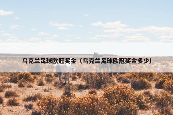 乌克兰足球欧冠奖金（乌克兰足球欧冠奖金多少）