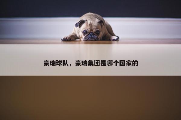 豪瑞球队，豪瑞集团是哪个国家的