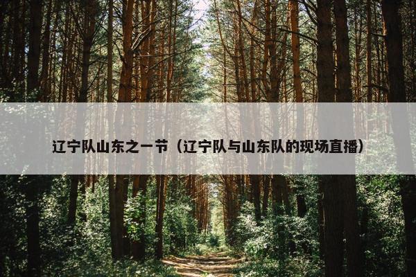 辽宁队山东之一节（辽宁队与山东队的现场直播）