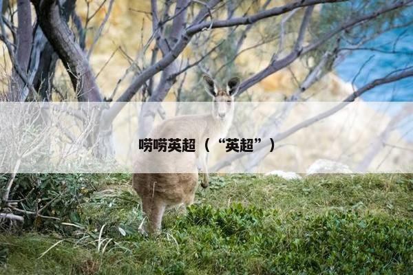 唠唠英超（“英超”）