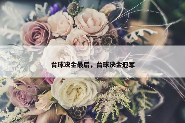 台球决金最后，台球决金冠军