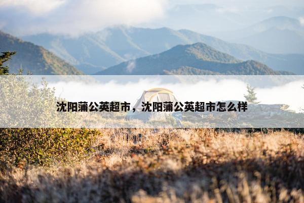沈阳蒲公英超市，沈阳蒲公英超市怎么样