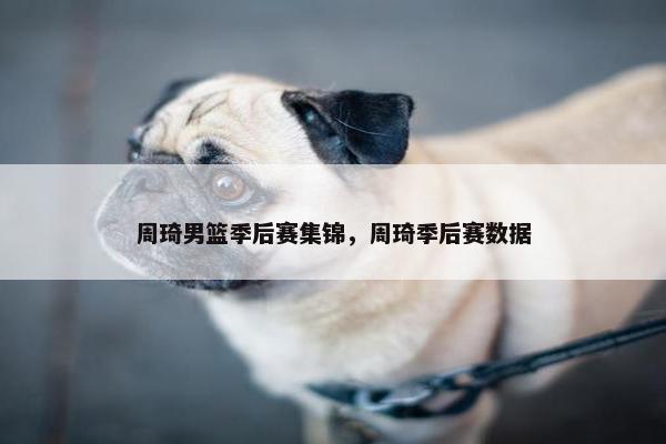 周琦男篮季后赛集锦，周琦季后赛数据