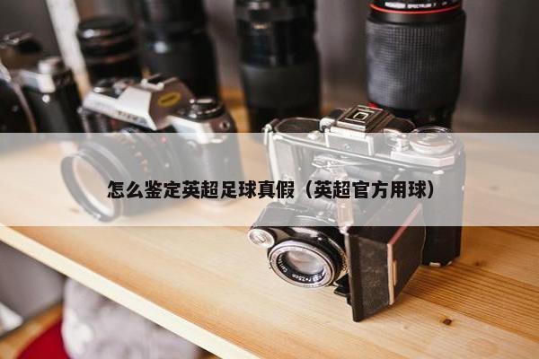 怎么鉴定英超足球真假（英超官方用球）