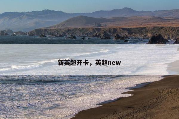 新英超开卡，英超new