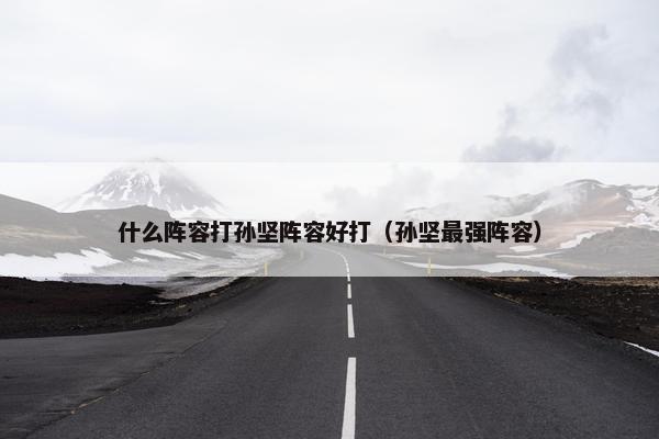 什么阵容打孙坚阵容好打（孙坚最强阵容）