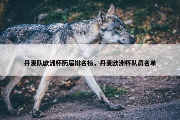 丹麦队欧洲杯历届排名榜，丹麦欧洲杯队员名单