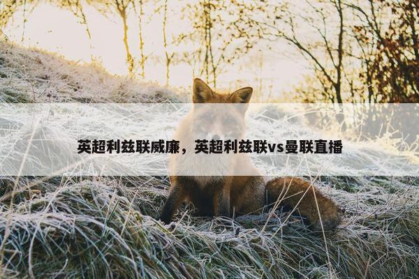 英超利兹联威廉，英超利兹联vs曼联直播