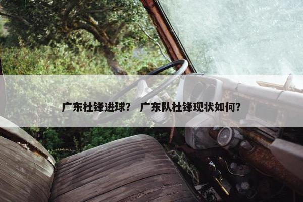 广东杜锋进球？ 广东队杜锋现状如何？