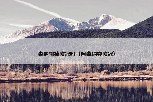 森纳输掉欧冠吗（阿森纳夺欧冠）