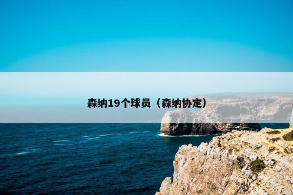 森纳19个球员（森纳协定）