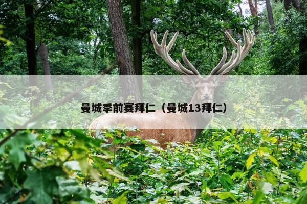 曼城季前赛拜仁（曼城13拜仁）
