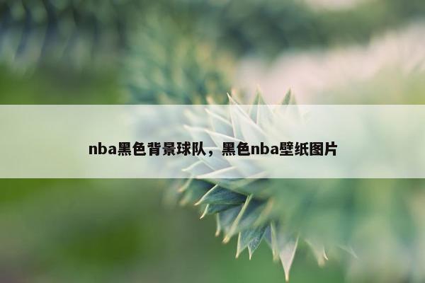 nba黑色背景球队，黑色nba壁纸图片
