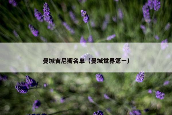 曼城吉尼斯名单（曼城世界第一）