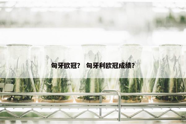 匈牙欧冠？ 匈牙利欧冠成绩？