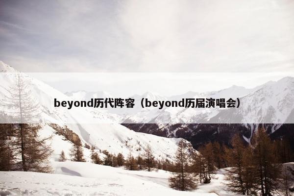 beyond历代阵容（beyond历届演唱会）