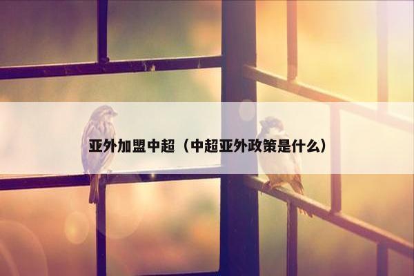 亚外加盟中超（中超亚外政策是什么）