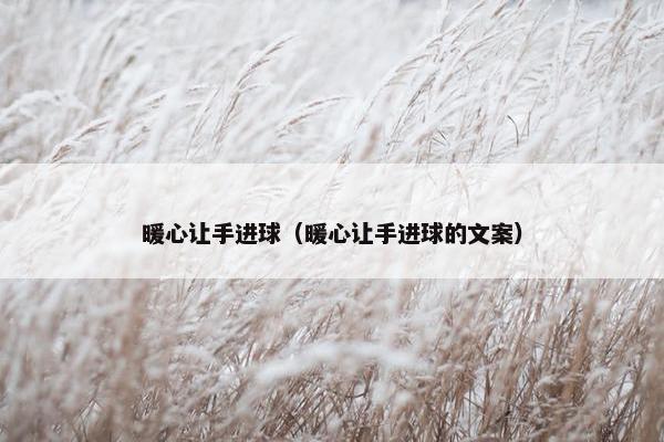 暖心让手进球（暖心让手进球的文案）
