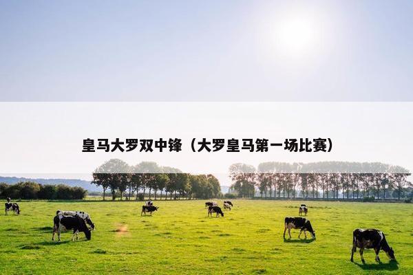 皇马大罗双中锋（大罗皇马第一场比赛）