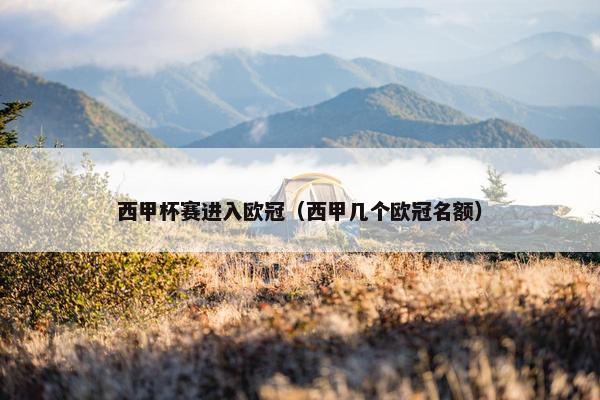 西甲杯赛进入欧冠（西甲几个欧冠名额）