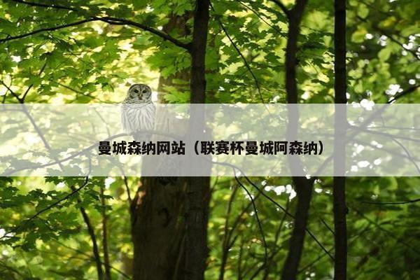 曼城森纳网站（联赛杯曼城阿森纳）