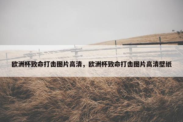欧洲杯致命打击图片高清，欧洲杯致命打击图片高清壁纸