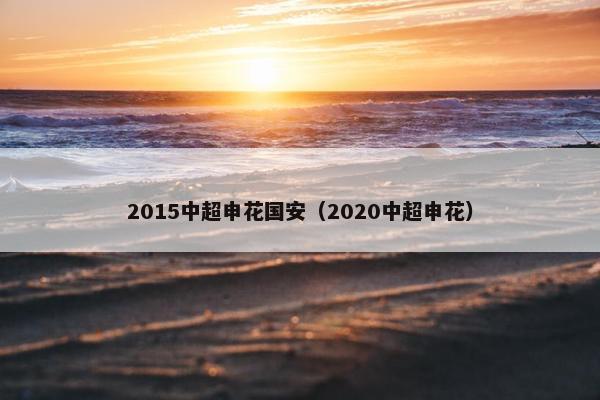 2015中超申花国安（2020中超申花）