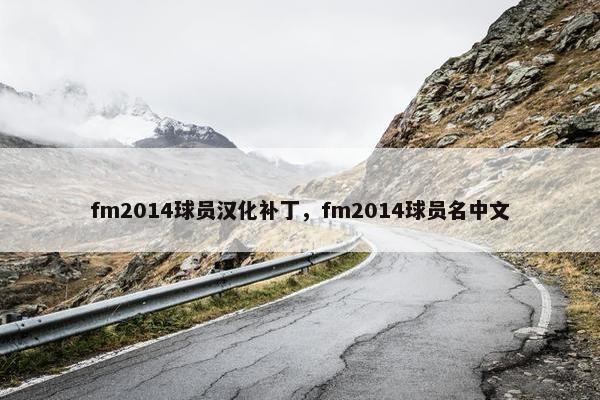 fm2014球员汉化补丁，fm2014球员名中文
