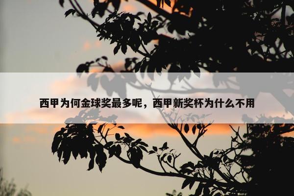 西甲为何金球奖最多呢，西甲新奖杯为什么不用