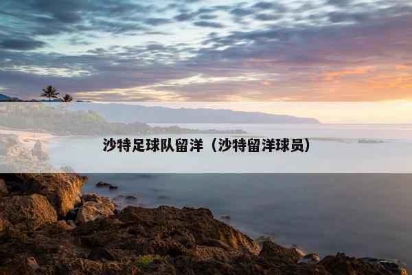 沙特足球队留洋（沙特留洋球员）