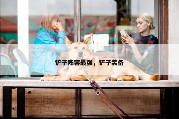 铲子阵容最强，铲子装备