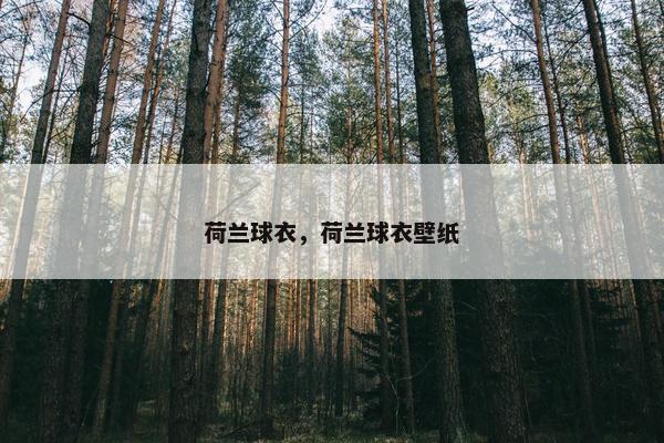 荷兰球衣，荷兰球衣壁纸