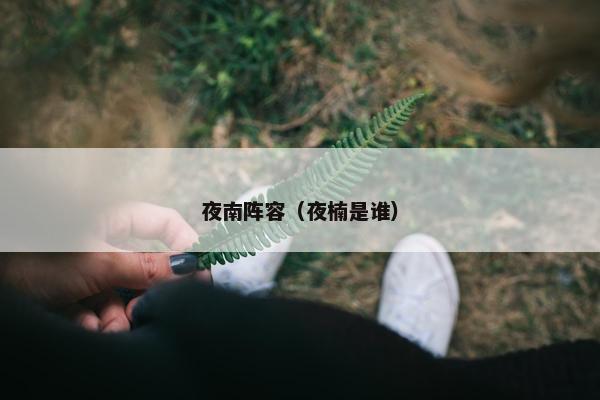 夜南阵容（夜楠是谁）
