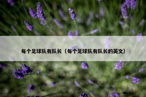 每个足球队有队长（每个足球队有队长的英文）