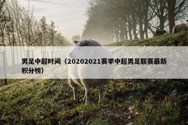 男足中超时间（20202021赛季中超男足联赛最新积分榜）
