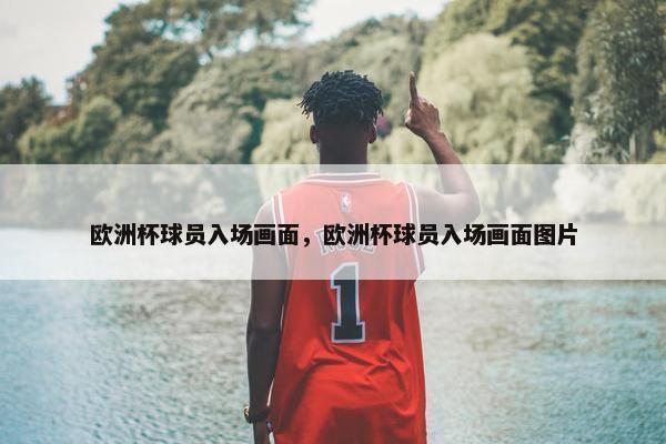 欧洲杯球员入场画面，欧洲杯球员入场画面图片