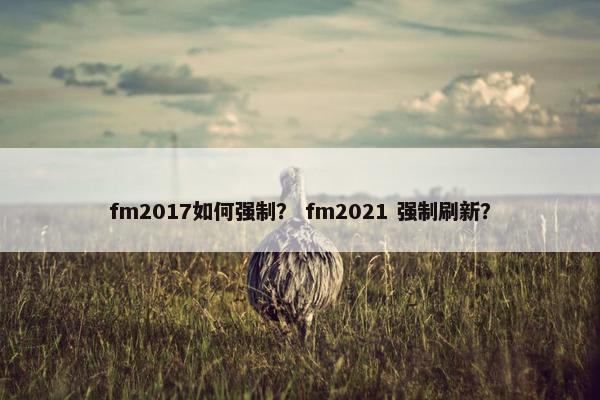 fm2017如何强制？ fm2021 强制刷新？