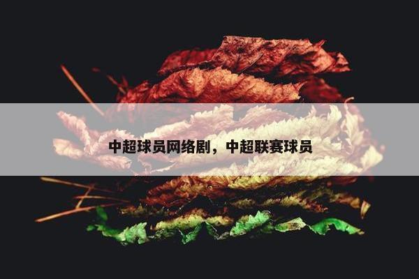 中超球员网络剧，中超联赛球员