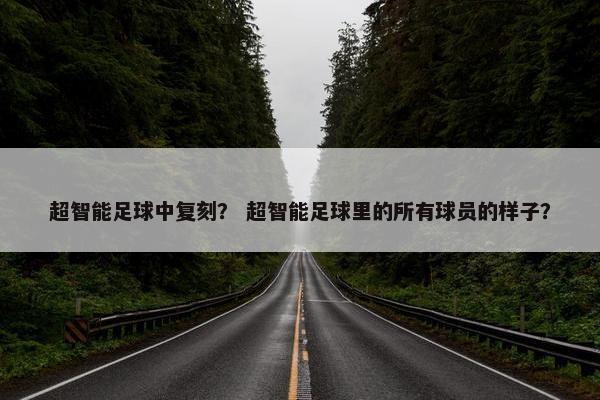 超智能足球中复刻？ 超智能足球里的所有球员的样子？