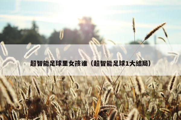 超智能足球里女孩谁（超智能足球1大结局）
