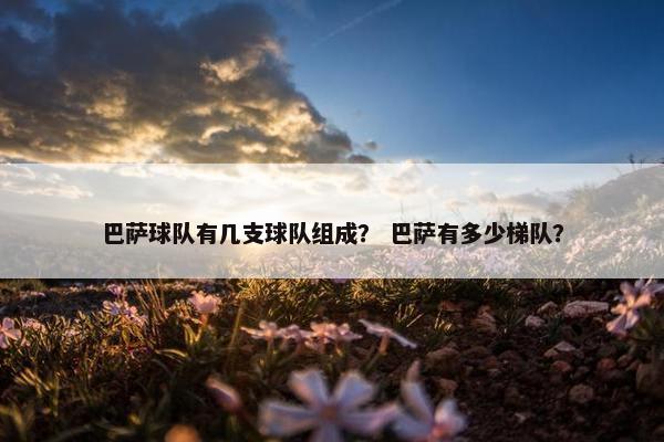 巴萨球队有几支球队组成？ 巴萨有多少梯队？