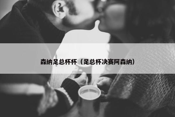 森纳足总杯杯（足总杯决赛阿森纳）