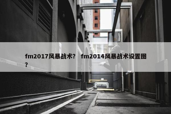 fm2017风暴战术？ fm2014风暴战术设置图？