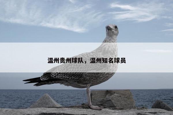 温州贵州球队，温州知名球员
