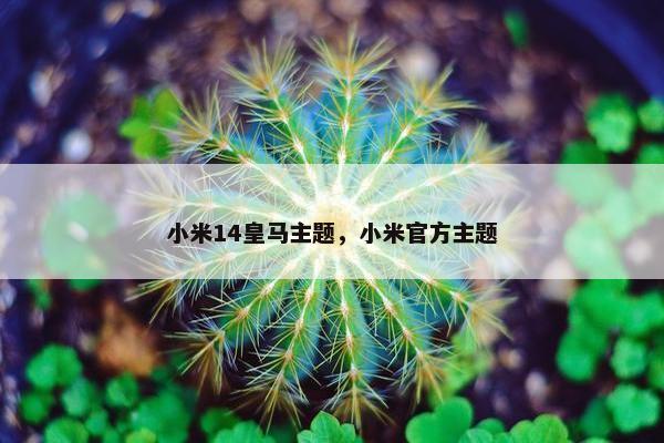 小米14皇马主题，小米官方主题