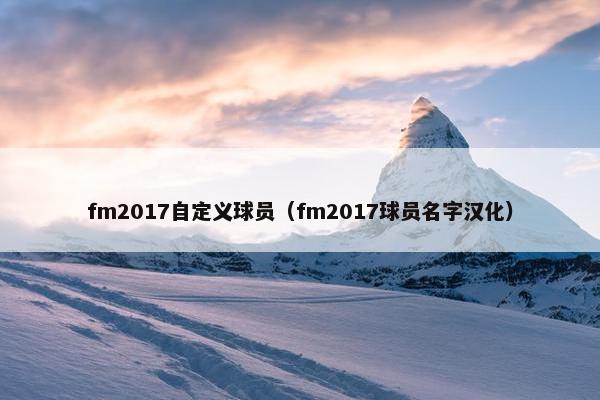 fm2017自定义球员（fm2017球员名字汉化）