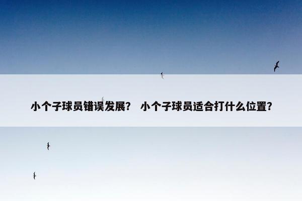 小个子球员错误发展？ 小个子球员适合打什么位置？